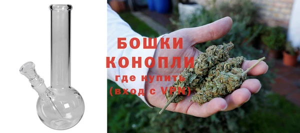 хмурый Няндома
