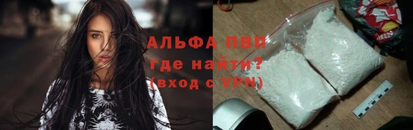 хмурый Няндома