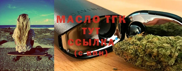 хмурый Няндома