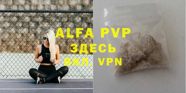 хмурый Няндома
