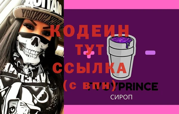 хмурый Няндома