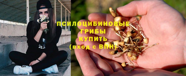 СК Нязепетровск