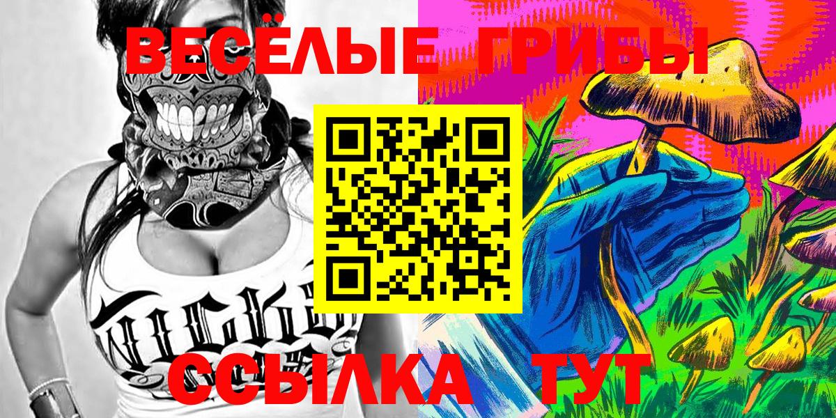 Псилоцибиновые грибы Cubensis  Вход с VPN  Коряжма 
