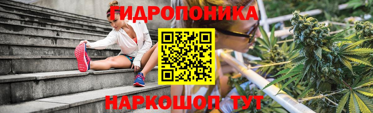 Канабис OG Kush  Вход с VPN  Коряжма  Шишки марихуана семена 